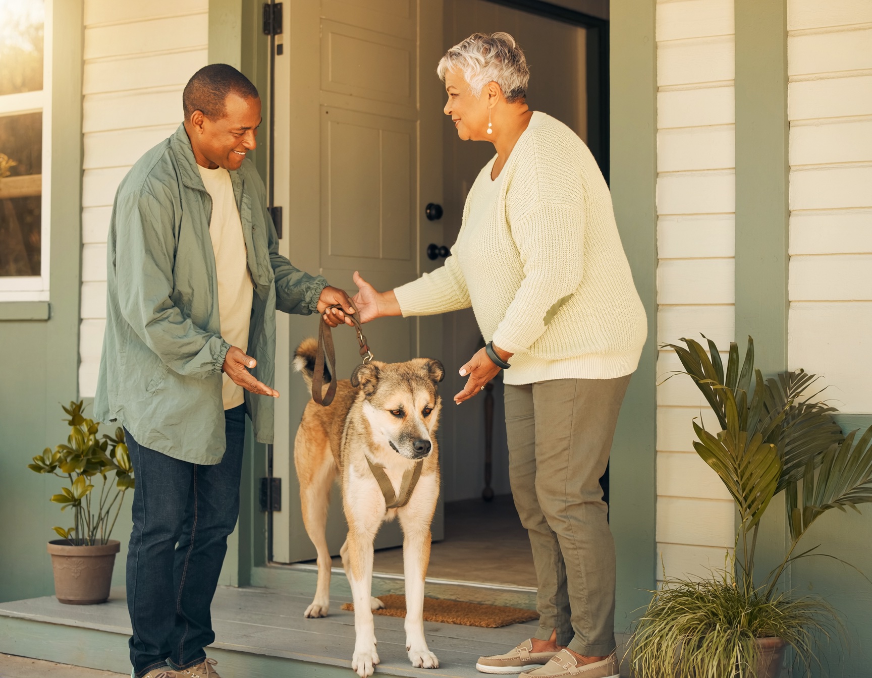 Animal ready for a safe care handoff