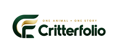 Critterfolio — One animal, one story